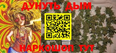 МДПВ Славгород
