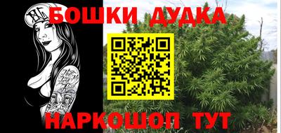 МДПВ Славгород