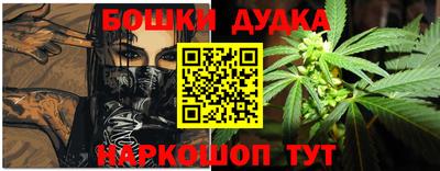 МДПВ Славгород