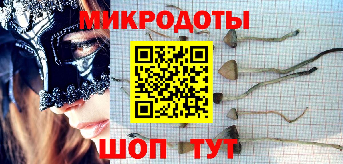 Галлюциногенные грибы ЛСД Похвистнево