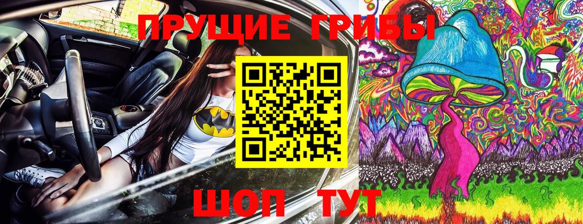 Псилоцибиновые грибы GOLDEN TEACHER  Вход с VPN  Похвистнево 